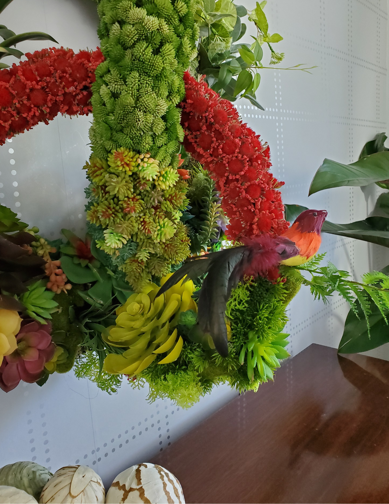 Bird of Paradise