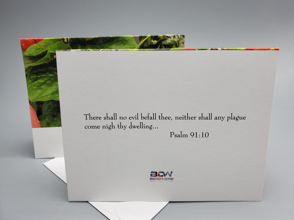 Inspirational Cards | Customize Greeting Quote Cards