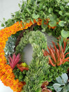Succulent Fall Wreath | Wreath for Front Door | Grapevine Wreaths