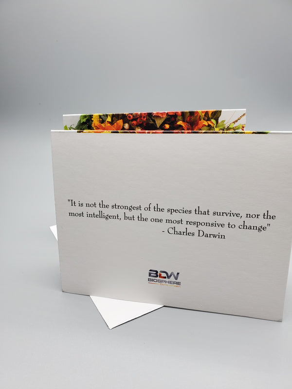 Inspirational Cards | Customize Greeting Quote Cards